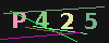 Gambar captcha